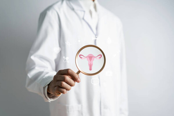 doctor in a white coat holding virtual uterus reproductive system , woman health, PCOS, ovary gynecologic and cervix cancer, Healthy feminine concept