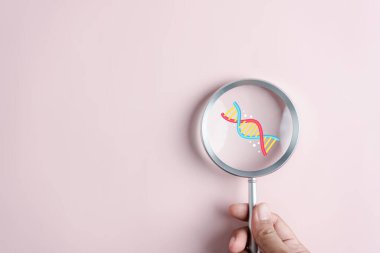 DNA gen biyolojisi biyolojisi ya da genetik hücreler, gelecekteki kromozom molekülü, DNA yapı konsepti.