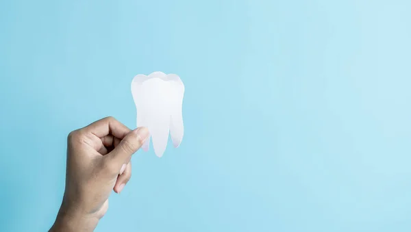 Tenuta Mano Denti Bianchi Dentali All Interno Esaminato Dentista Check — Foto Stock