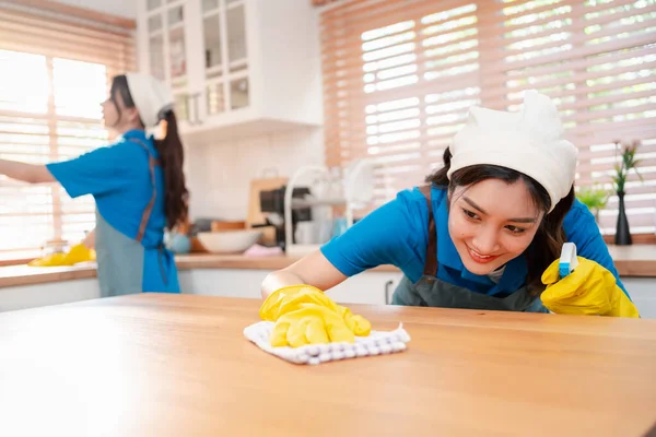 Υπηρεσίες Καθαριότητας Οικιακής Οικονομίας Θηλυκός Καθαρισμός Σκόνης Στο Σπίτι Υπηρεσία — Φωτογραφία Αρχείου