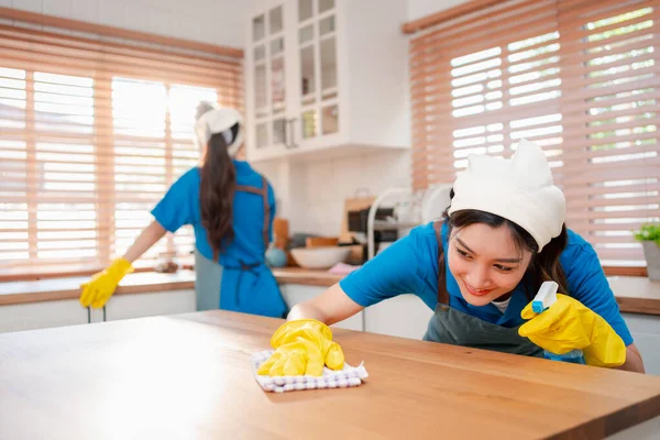 Trabajo Doméstico Mantenimiento Casa Servicio Limpieza Femenina Polvo Casa Agencia —  Fotos de Stock