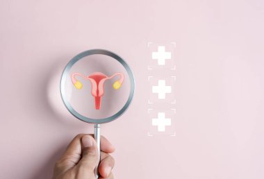 Hastahanede artı işareti, kadın sağlığı, PCOS, yumurtalık kanseri tedavisi ve muayene, sağlıklı kadınsı konsept içeren yumurtalık üreme sistemini kontrol edin..