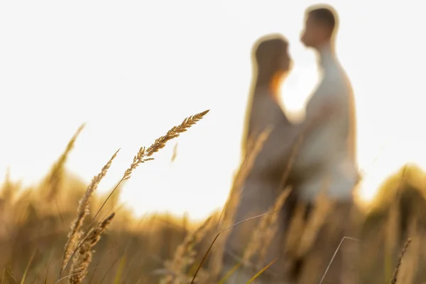 Silhouette Couple Lovers Hugging Meadow Sunset Summer Day Man Woman — Stock Photo, Image