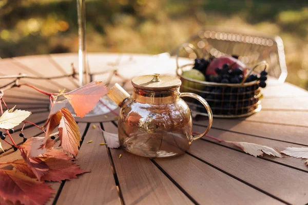Затишний Осінній Пікнік Парку Крупним Планом Скляний Чайник Гарячим Чорним — стокове фото