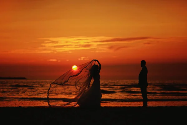 Silhouette Eines Hochzeitspaares Strand Bei Orangefarbenem Sonnenuntergang — Stockfoto