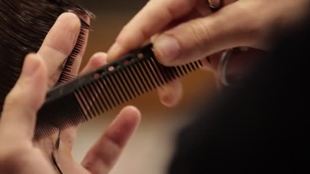 Customer Service Man Sitting Barber Shop Hairstylist Hairdresser Cutting Hair — Stock Video