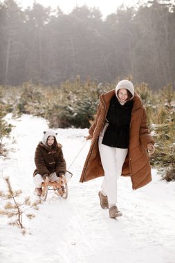 Annesi kızakla gezmekten hoşlanan küçük bir kızın arka görüntüsü. Anne ve çocuk kızakla kayıyor, eğleniyor ve karlı kış ormanlarında ya da parkta oynuyorlar. Aile Noel tatili için açık hava eğlencesi.