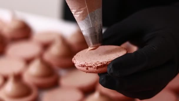 Making French Desert Macarons Chef Hands Black Gloves Confectionery Bag — Vídeo de Stock