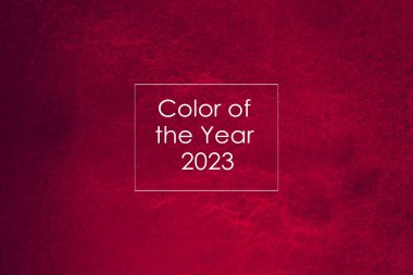 Viva Magenta renklerinin arka planında 2023 yılının beyaz bir çerçevesi ile metin Rengi. Moda rengi için yaratıcı tasarım. Doğadaki yılın rengi..