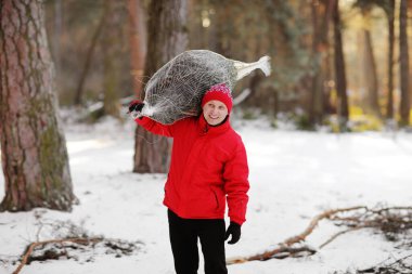 Gülümseyen adam ormanda yeni kesilmiş Noel ağacını taşıyor. Genç oduncu ormanda omzunda köknar ağacı taşıyor. Doğaya karşı sorumsuz davranışlar, ormanı kurtarmak, yeşil kavramı korumak