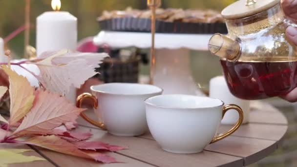 Cozy Autumn Picnic Park Close Unrecognisable Woman Pouring Hot Tea — Stock Video
