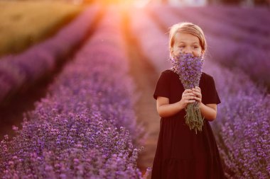 Elinde bir demet lavanta çiçeğiyle sevimli bir kızın portresi. Bir çocuk gün batımında lavanta tarlasında yürüyor. Siyah elbiseli çocuk yaz tatilinde doğada eğleniyor.