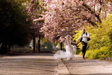 Güzel, neşeli ve hayat dolu yeni evliler, damat ve gelin çiçek açan pembe kiraz çiçeğinin yanında sarılıyorlar. Gülümseyen sakallı bir damat ve güzel bir gelinin düğün portresi.