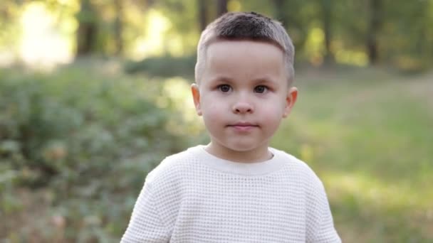 Portret Małego Chłopca Uśmiecha Się Patrzy Kamerę Tle Parku Dziecko — Wideo stockowe