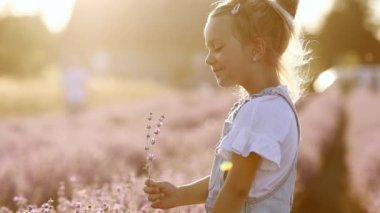 Portrait of a cute girl is smelling a lavender flowers. A child is walking in a field of lavender on sunset. Kid is having fun on nature on summer holiday vacation