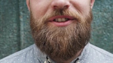 Extreme close up view of the lower part of the man face with well-groomed and thick beard with moving mouth, speaking and smiling male.