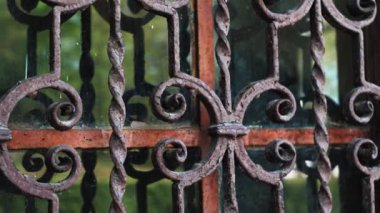 Iron rusty closed door of the lattice gate with forged decorate of ancient building with reflection of the green garden in glass.