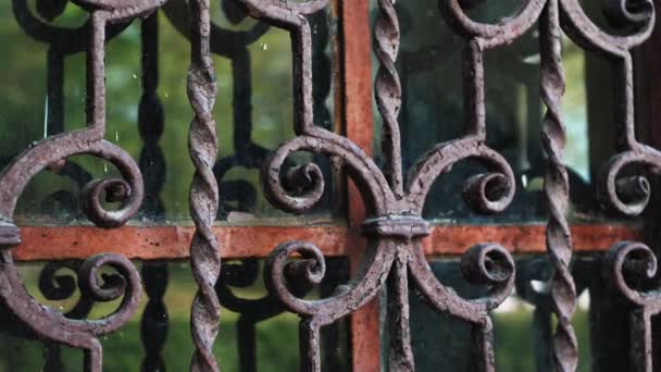 Iron Rusty Closed Door Lattice Gate Forged Decorate Ancient Building — Stockvideo