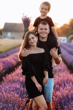 Young mother and little daughter sitting on fathers shoulders are walking in lavender field. Dad, mom and child hugging and looking at camera on summer day. Happy friendly family day. Children day.