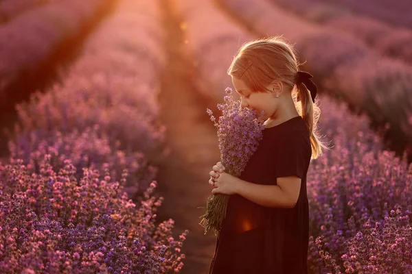 Portrait Cute Girl Smelling Lavender Flowers Child Walking Field Lavender — Stockfoto