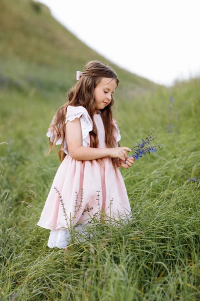 여름날 들판의 초원에는 레이스 머리를 애정어린 소녀가 자연에 야생화 부케를 — 스톡 사진