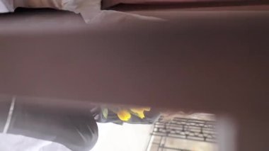 Büyük bir buket sarı lalesi olan alımlı çekici genç bayan yatak odasının penceresinde oturuyor. Gülümseyen kız doğum günü, yıldönümü, anneler günü, kadınlar günü için çiçeklerin tadını çıkarıyor.