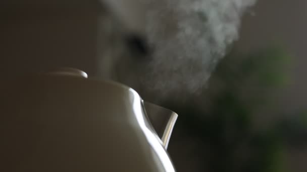 Близько Киплячої Води Пари Виходить Білий Сучасний Електричний Чайник Чайник — стокове відео
