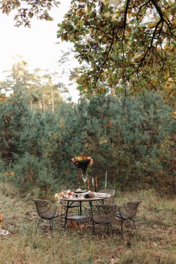 Parkta sıcak bir sonbahar pikniği. Kutlama masası süslenmiş kır çiçekleri vazoda, mumlar, yemek, sıcak içecekler, akçaağaç yaprakları ve hasır sandalyeler dışarıda. Saman sepetleri ve balkabakları çimlerin üzerinde.