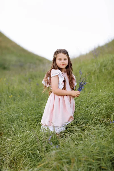 Αξιολάτρευτο Καυκάσιο Κοριτσάκι Μακριά Μαλλιά Που Φοράει Ροζ Vintage Φόρεμα — Φωτογραφία Αρχείου