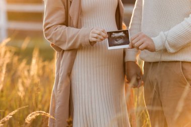 Unrecognised of a pregnant woman with her husband are holding an ultrasound scan photo of the unborn child outdoors on nature in sunlights. Happy motherhood and parenthood concept.