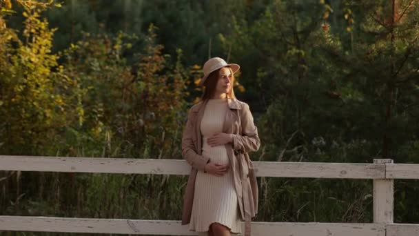 Photo Pregnant Woman Holds Hands Belly Autumn Park Young Woman — Video Stock
