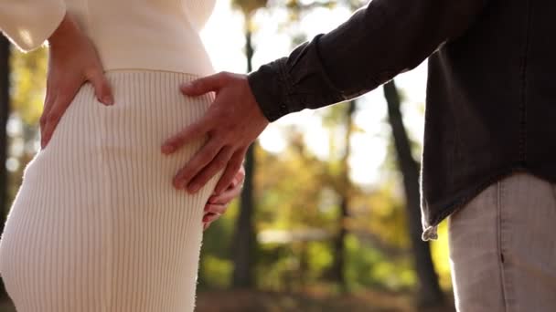 Familientag Stilvolles Bis Zur Unkenntlichkeit Verheiratetes Schwangeres Paar Das Auf — Stockvideo