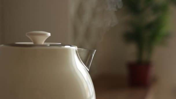 Close Boiling Water Steam Comes Out White Modern Electric Kettle — Stock Video
