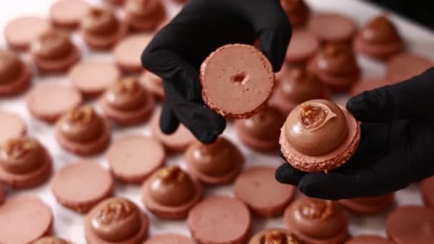 Process Making Macarons Macaroons French Dessert Chef Hands Black Gloves — Wideo stockowe