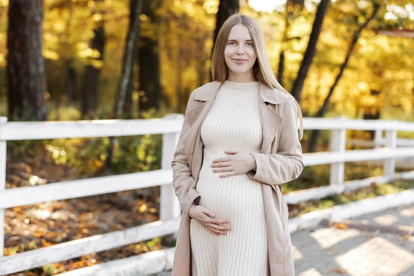Photo Pregnant Woman Holds Hands Belly Autumn Park Young Woman — Zdjęcie stockowe