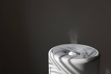 Yayıcı, hava temizleyici ya da nemlendirici, gölgeli ev bitkisi olan odada gerekli yağ ile güçlü bir soğuk buhar yayar. Aroma yağı buhar terapisi. Vücut sağlığı tedavisi. Spa ve sağlık.