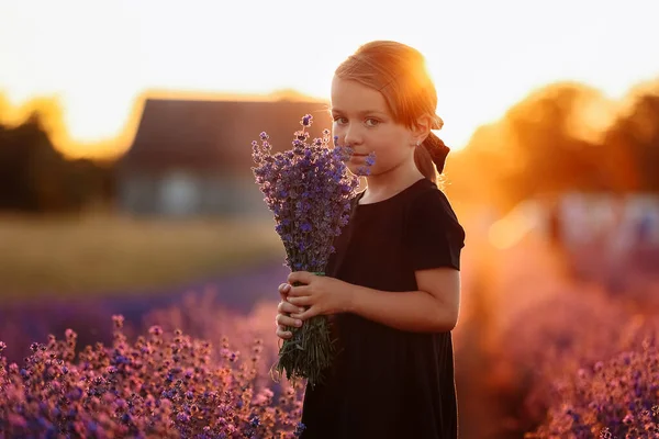 Portrait Cute Girl Smelling Lavender Flowers Child Walking Field Lavender — 图库照片