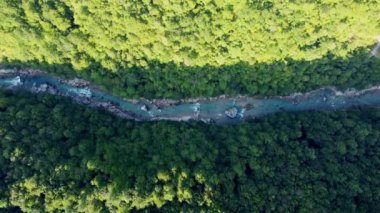 Hava aracı görüntüsü: Dağ nehri üzerinde ışık ve gölgeli yeşil çam ağaçları arasında uçmak. Manzara manzarası. Doğa, seyahat, tatiller. Karpatlar, Ukrayna, Avrupa. Kamerayı kapat.