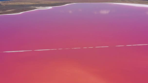 ピンクの塩湖の上 塩の生産設備塩湖の生理食塩水蒸発池フィールド 乾燥結晶塩辛い海岸とミネラルレイクで赤 ピンクの水を与えるDunaliellaサリナ — ストック動画