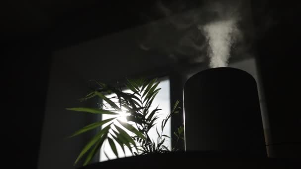 Bottom Silhouette View Air Purifier Humidifier Releases Strong Stream Cold — Stock Video