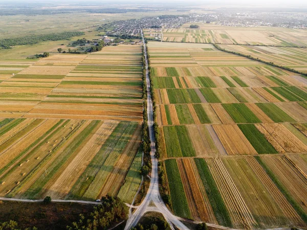 Luftaufnahme Von Kultivierten Grünen Feldern Und Landwirtschaftlichen Parzellen Mit Goldweizen — Stockfoto