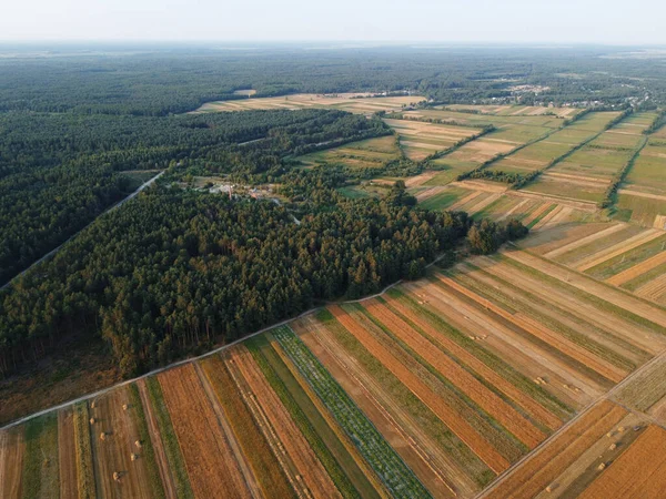 Landschaft Auf Dem Land Luftaufnahme Von Bewirtschafteten Grünen Feldern Landwirtschaftlichen — Stockfoto