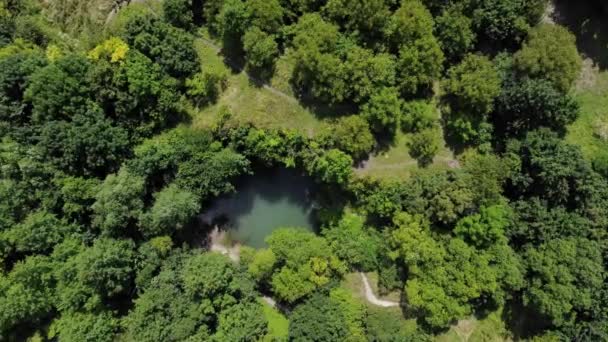 夏の晴れた日には 緑の木々や茂みのある山の谷にあるターコイズブルーの水で湖の周りを回転する空中の高さの映像 — ストック動画