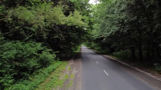 Piękna Droga Przez Las Ruch Kamery Przy Asfaltowej Drodze Pomiędzy — Wideo stockowe