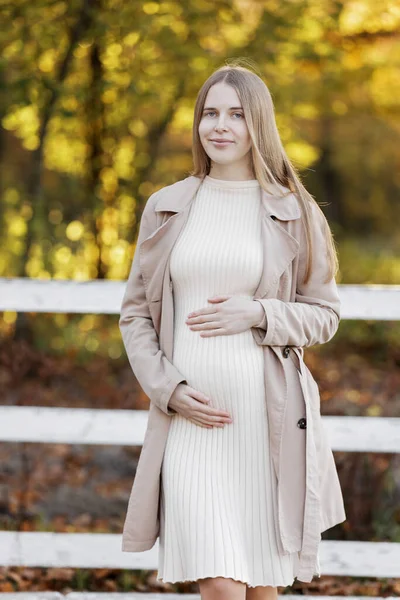 Photo Pregnant Woman Holds Hands Belly Autumn Park Young Woman — Stockfoto