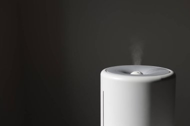 Yayıcı, hava temizleyici ya da nemlendirici odada gerekli yağ ile güçlü bir soğuk buhar yayar. Aroma yağı buhar terapisi. Vücut sağlığı tedavisi. Spa ve sağlık.