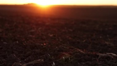 Tarım ve tarım sektörü kavramı. Turuncu gün batımında geniş tarımsal tarla tarlalarının güzel kırsal manzarası. Ekin ekme ve sebze ekme için tarım arazisi