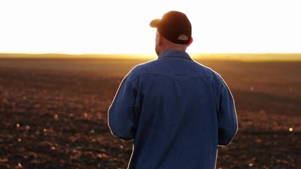 Agribiznisz Visszapillantás Férfi Farmerre Aki Megművelt Szántott Mezőn Sétál Tavasszal — Stock videók