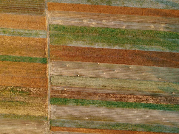 空中俯瞰耕地绿地和农业包裹与黄金小麦 稻草卷 乡间风景 排成几何形状的田野 农业工业的概念 乌克兰 — 图库照片