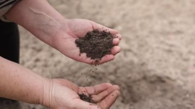 Olgun tarım uzmanlarının elleri ekolojik ekinlere ekmeden önce toprağın kalitesini ve gübrelerini kontrol eder ve kontrol eder. Biyolojik tarım ve çevre dostu tarım tarım kavramı. Tarım sektörü.